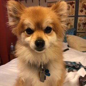 Meet your Posher, Debbie